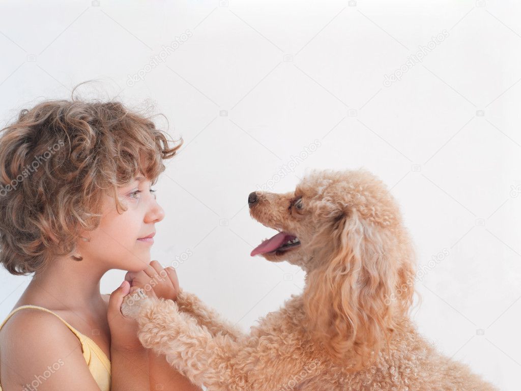 Young girl with her toy Poodle