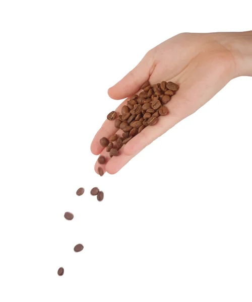 stock image Coffee