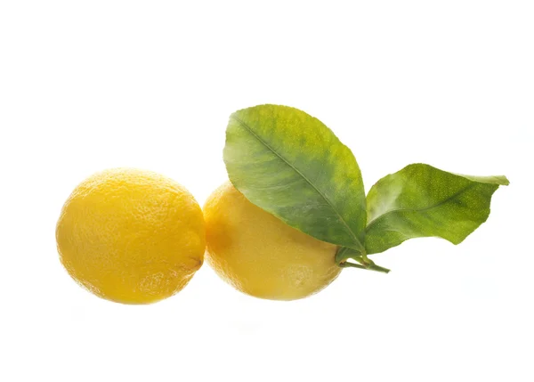 stock image Lemons