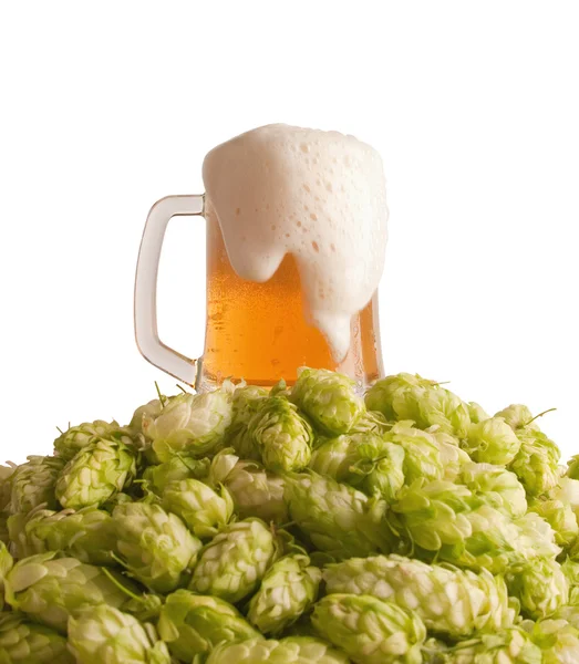 Bier und Hopfen — Stockfoto