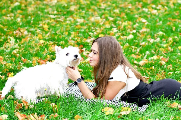Güzel bir kız onu köpek ile yalancı portresi — Stok fotoğraf
