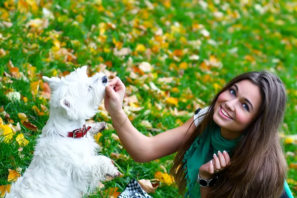 Menina jovem alimentando seu cão — Fotografia de Stock