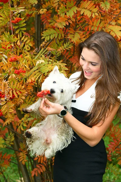 Portrait of beautiful girl with her dog — Stock Photo, Image