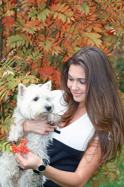 Ritratto di bella ragazza che tiene un bel cane bianco della West Highland su di lei ha — Foto Stock
