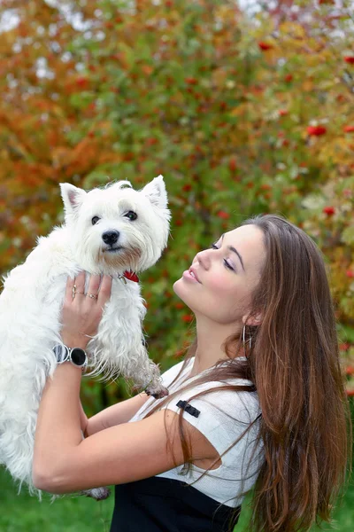Portret pięknej dziewczyny całkiem biały west highland pies prowadzenie na jej ha — Zdjęcie stockowe