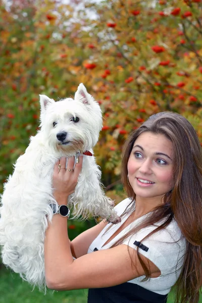 Porträtt av vacker flicka att hålla ganska vita west highland hund på henne ha — Stockfoto