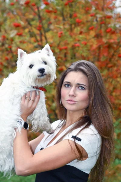 Retrato de menina bonita mantendo muito branco West Highland cão em seu ha — Fotografia de Stock