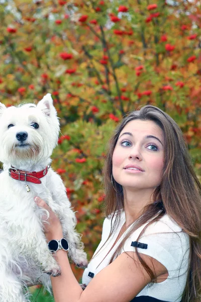 Porträtt av vacker flicka att hålla ganska vita west highland hund på henne ha — Stockfoto