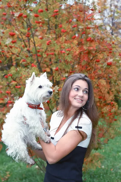 Retrato de hermosa chica manteniendo bastante blanco West Highland perro en su ha —  Fotos de Stock