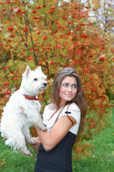 Portrait of beautiful girl keeping pretty white West Highland dog on her ha — Stock Photo, Image
