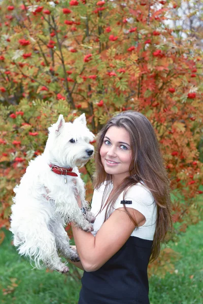 Portret van mooi meisje houden van mooie witte west highland hond op haar ha — Stockfoto