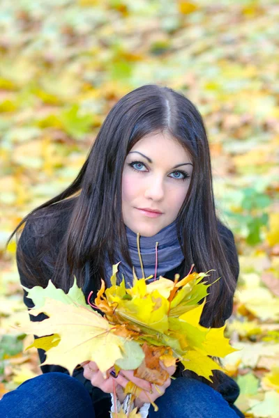 Портрет привлекательной девушки с кучей ярко-желтых кленовых листьев — стоковое фото