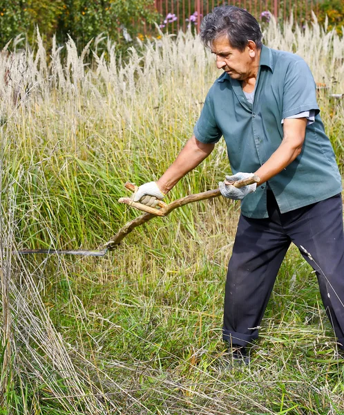 Пожилой человек стрижет сухую траву — стоковое фото