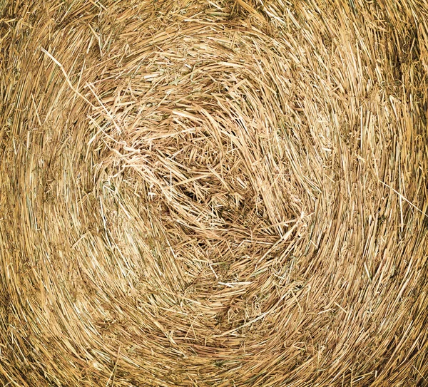 牧草地で乾燥した干し草のテクスチャ — ストック写真