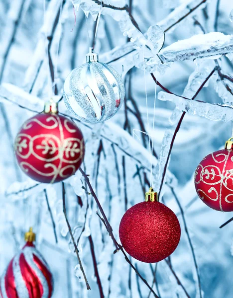 Красиві різдвяні червоні кульки над засніженими гілками — стокове фото