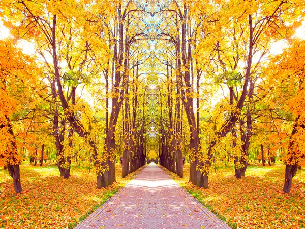 Beautiful diminishing alley in autumnal golden orchard — Stock Photo, Image