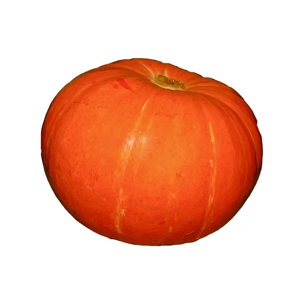 Orange pumpkin isolated — Stock Photo, Image