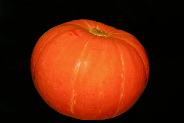 Abóbora laranja isolada — Fotografia de Stock