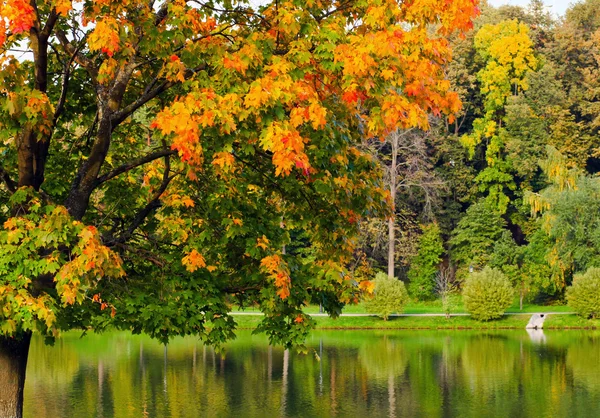 Levendige herfst leafage weerspiegeld in de rivier — Stockfoto