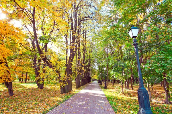 Hermoso parque de otoño colorido en día soleado — Foto de Stock