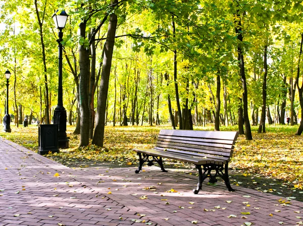 Όμορφο πολύχρωμο φθινόπωρο πάρκο στην ηλιόλουστη ημέρα — Φωτογραφία Αρχείου