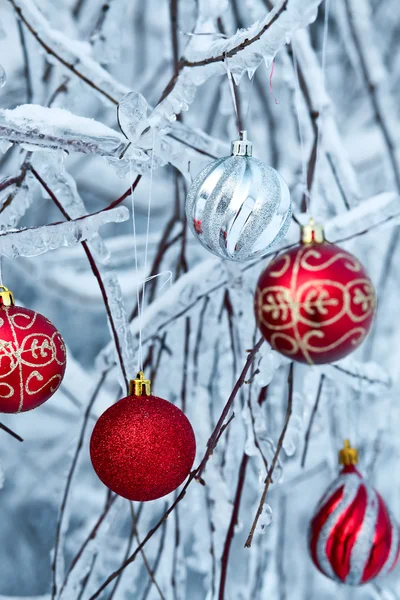Schöne weihnachtliche rote Kugeln über verschneite Äste — Stockfoto