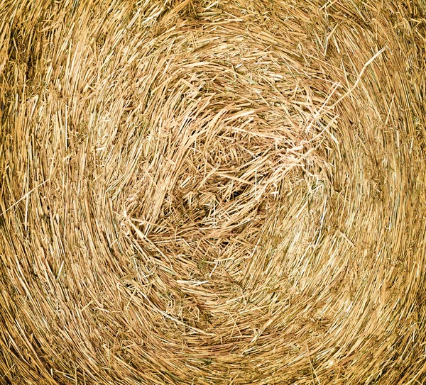 Texture of dry haystack on the meadow — Stock Photo, Image