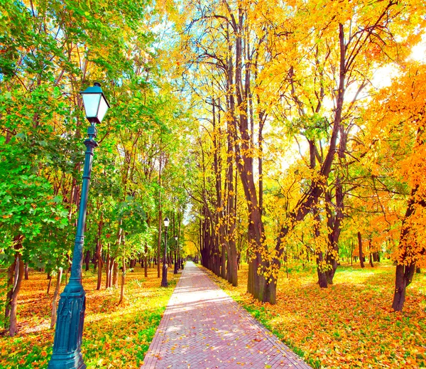 Όμορφο πολύχρωμο φθινόπωρο πάρκο στην ηλιόλουστη ημέρα — Φωτογραφία Αρχείου