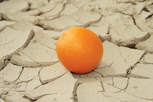 Orange juteuse sur boue craquelée au soleil — Photo