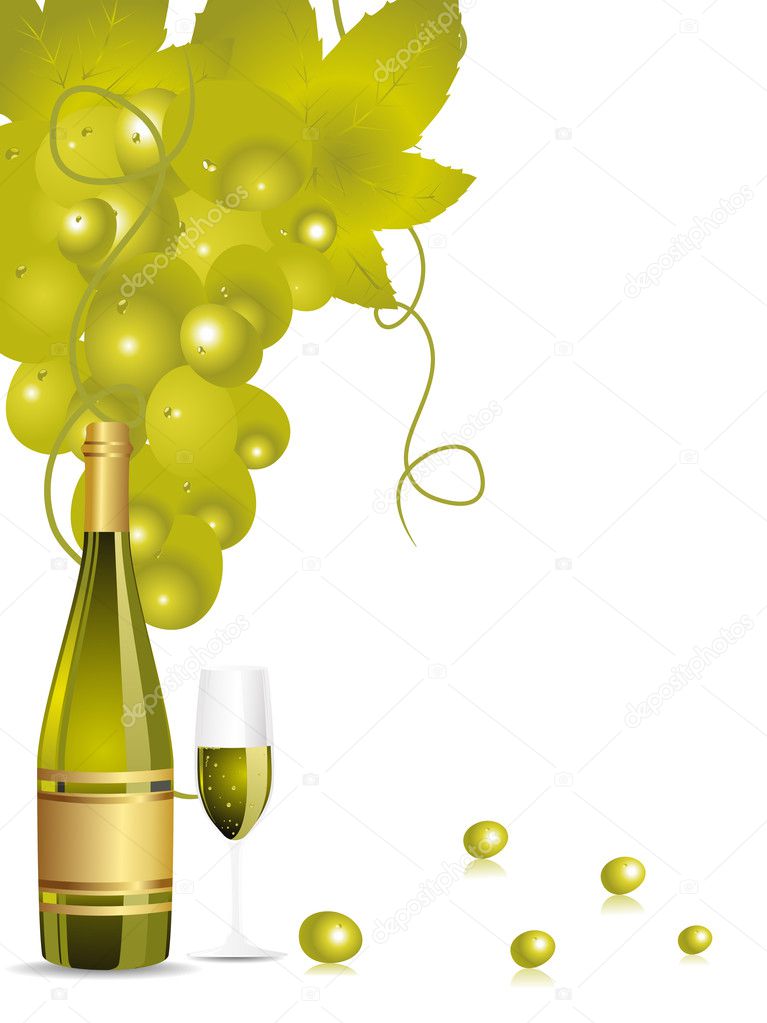 illustration champange bottle,glass,grapes vines