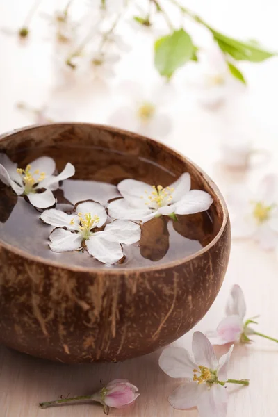 White flowers in bowl — Stock Photo, Image