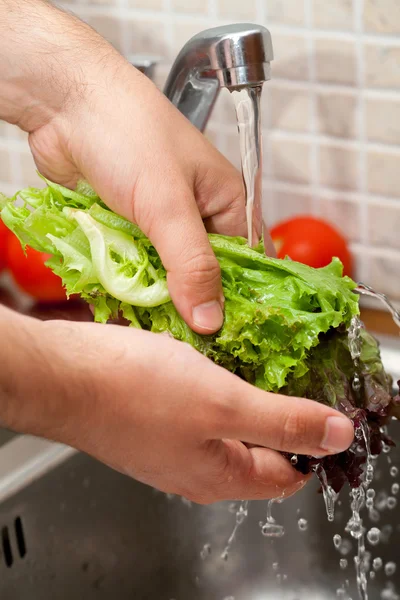 Muž mytí listy salátu — Stock fotografie