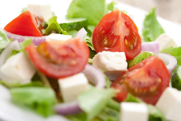 Detailní záběr čerstvého salátu — Stock fotografie