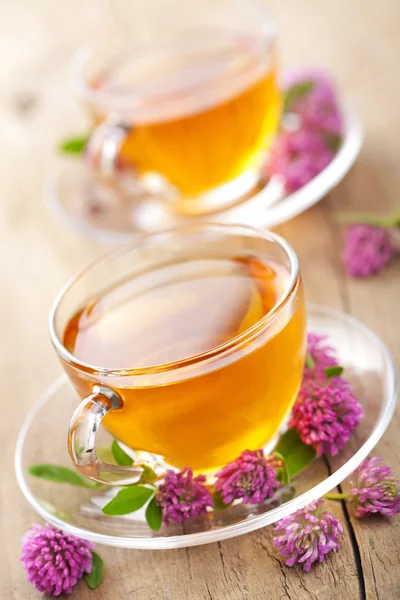 ハーブのお茶とクローバーの花 — ストック写真