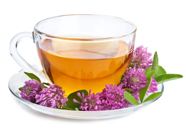 Växtbaserade te och klöver blommor isolerade — Stockfoto