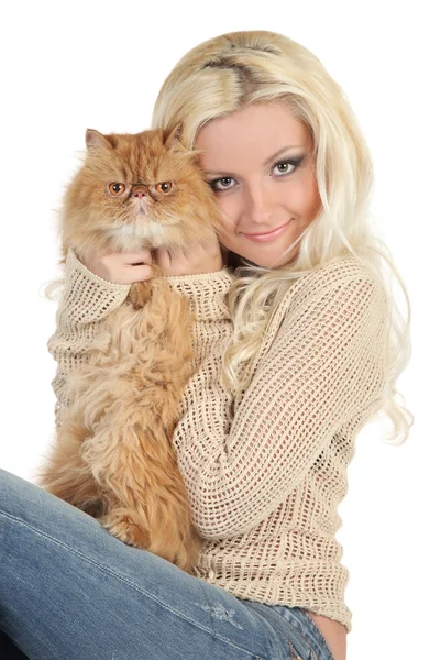 Bella bionda con un soffice gatto persiano — Foto Stock