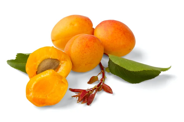 Абрикос фрукти — стокове фото