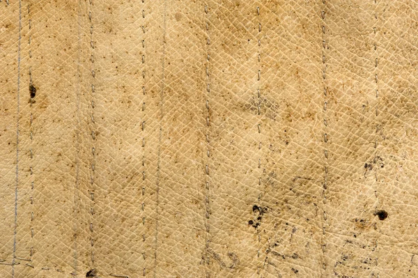 Texture. Antique beige leather — Stock Photo, Image