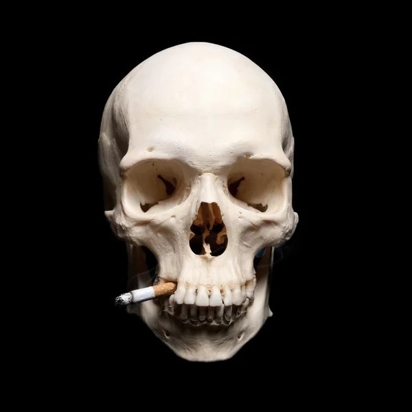 Danger Symbol. Human scull with cigarette — Stock Photo, Image