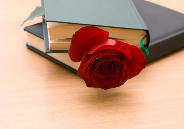 在一本书中的红玫瑰 — 图库照片
