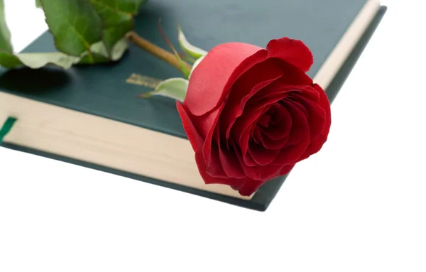 Rosa vermelha em um livro — Fotografia de Stock