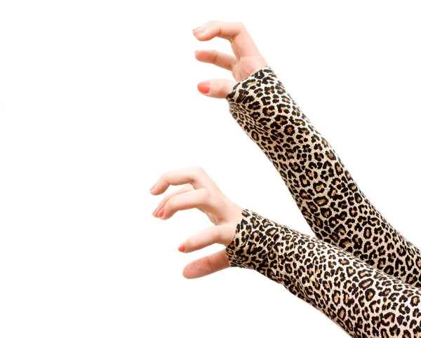 Hände-Leopard — Stockfoto