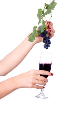 Glass of wine and grapes clipart