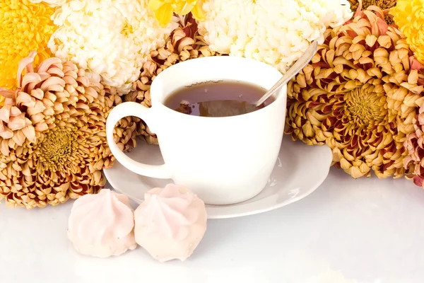 Szklanka herbaty i chryzantemy na białym tle na Zielone Świątki — Zdjęcie stockowe