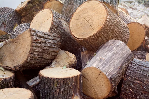 Drewno opałowe — Zdjęcie stockowe