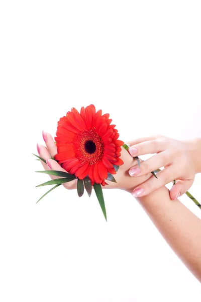 Manicure with flower in reflection — Stock Photo, Image