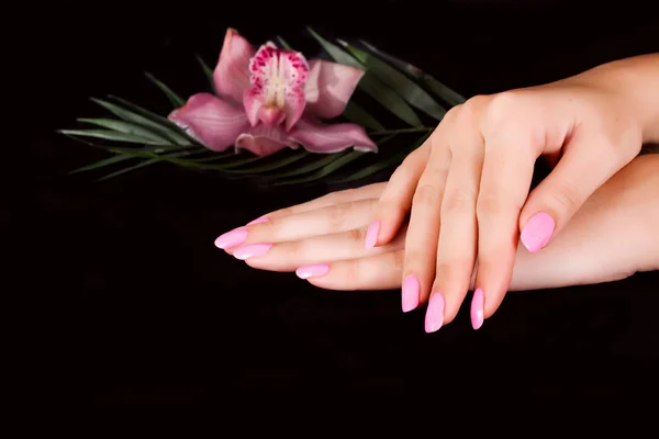 Nails with flower — Stock Photo, Image