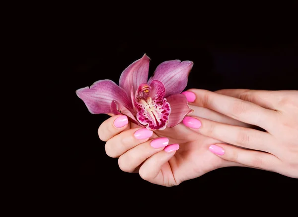 Paznokcie z kwiatem — Zdjęcie stockowe