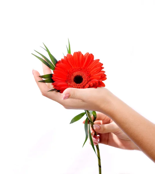 Manicure with flower in reflection — Stock Photo, Image