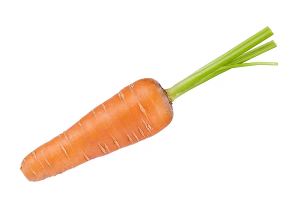 Морква свіжа — стокове фото